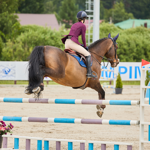 Photo #13808696