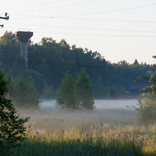 Photo #13808904