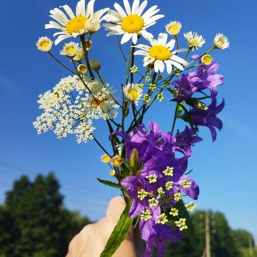Photo #13808940