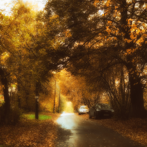 Photo #13808956