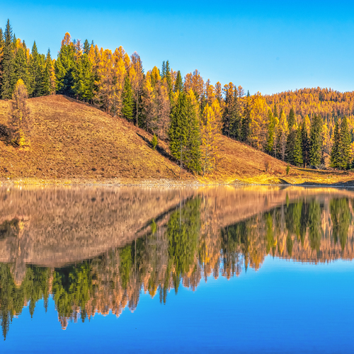 Краски осени