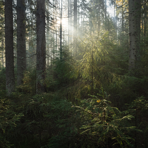 Photo #13808972