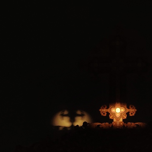 Photo #13809007