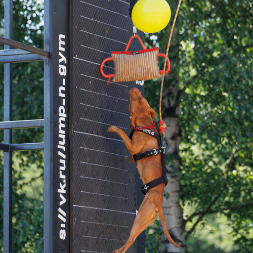 Photo #13809069