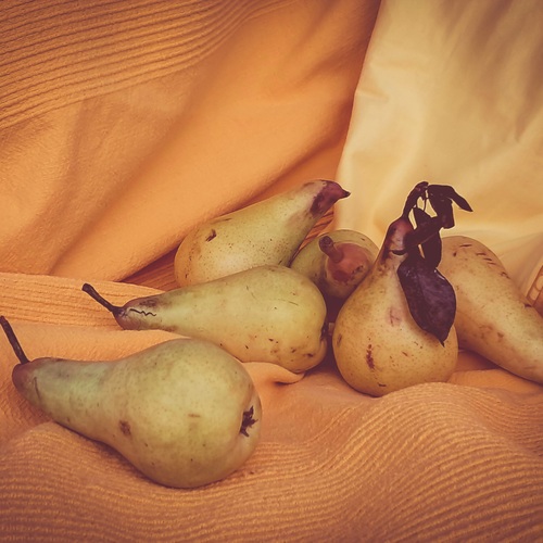 Photo #13809322