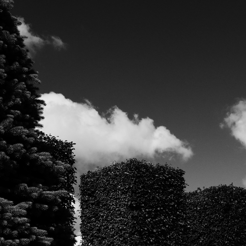 Photo #13809416