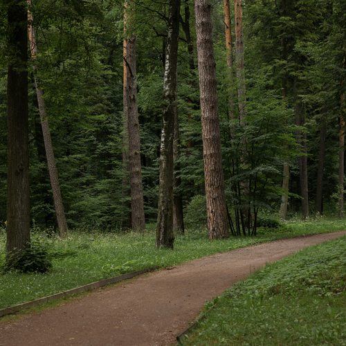Photo #13809434