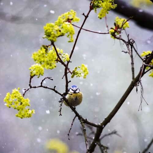 Photo #13809449