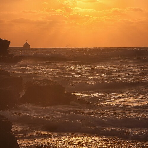 Photo #13809505