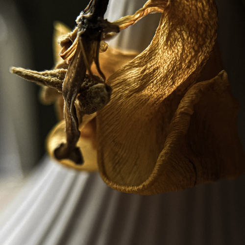 Photo #13809701
