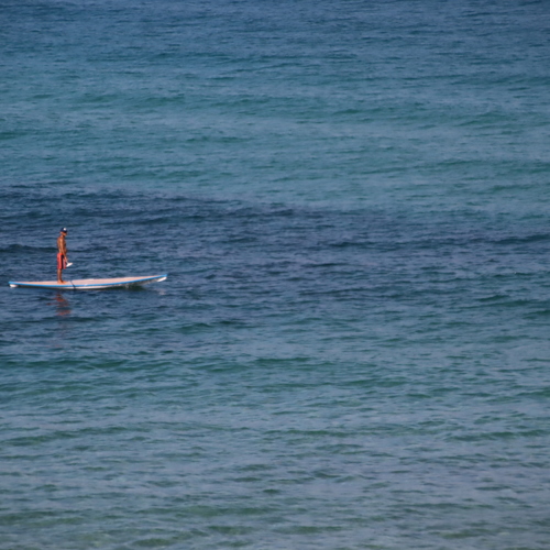 Photo #13809734