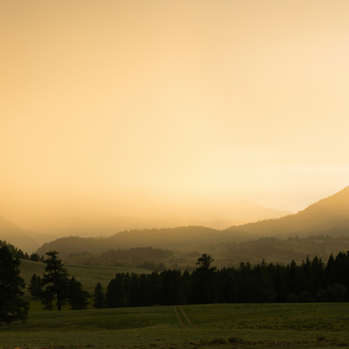 Photo #13809776