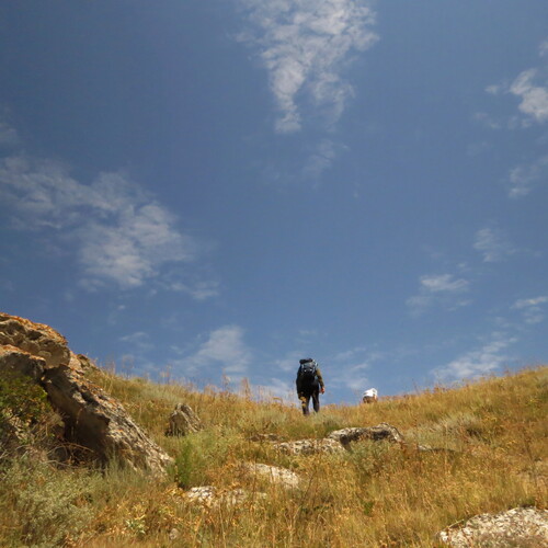 Photo #13809802