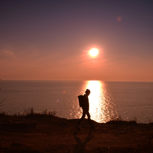 Photo #13809831