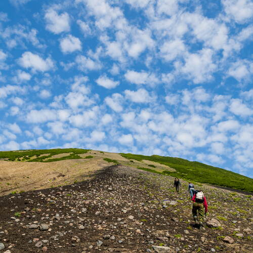 Photo #13809840