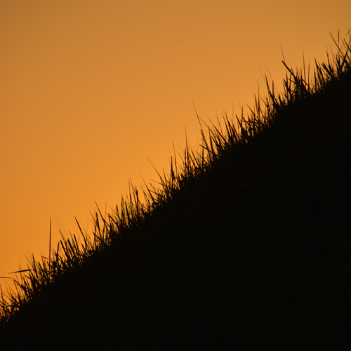 Photo #13809859