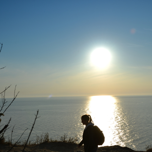 Photo #13809866