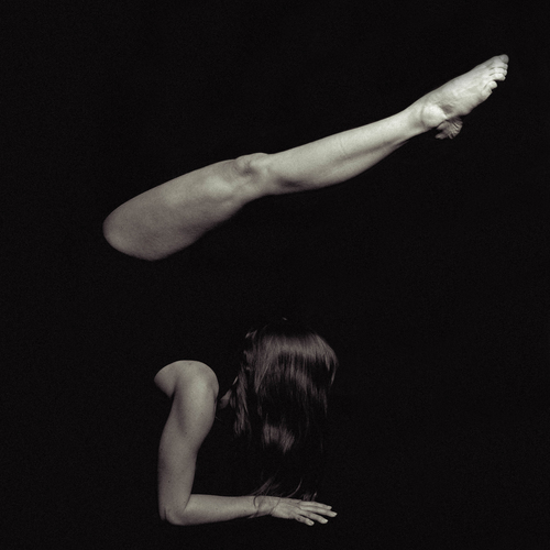 Photo #13809870