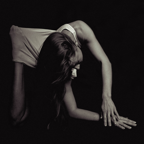 Photo #13809878