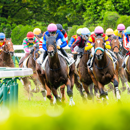 The Final Turn of the Race