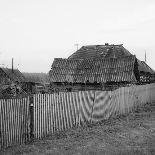 Photo #13809993