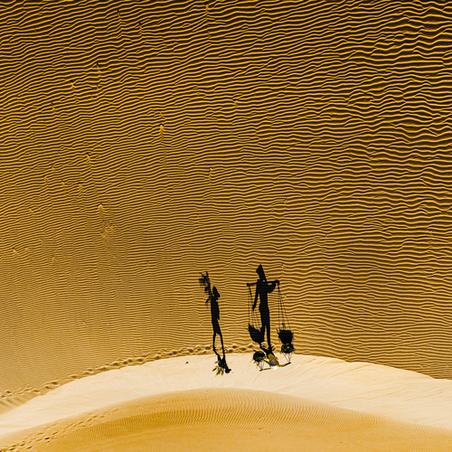 Photo #13810035