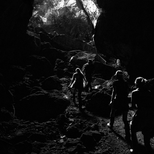 Photo #13810234