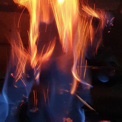 Photo #13810263