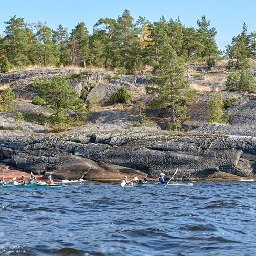 Photo #13810354