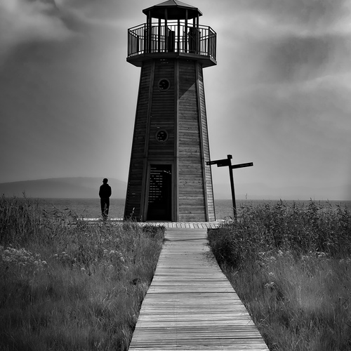 Photo #13810444