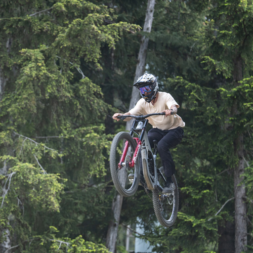 Photo #13810457