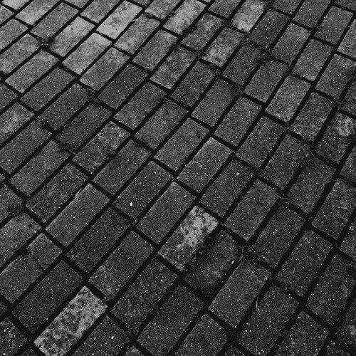 Photo #13810488
