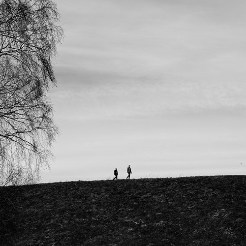 Photo #13810504