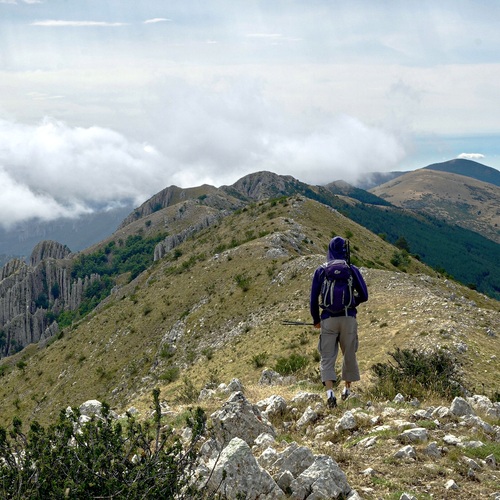 Photo #13810587