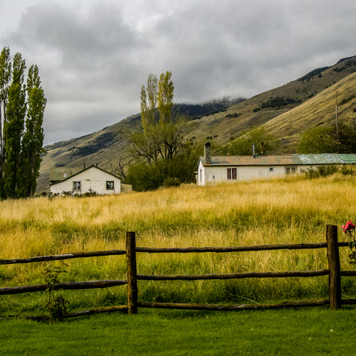 Photo #13810600
