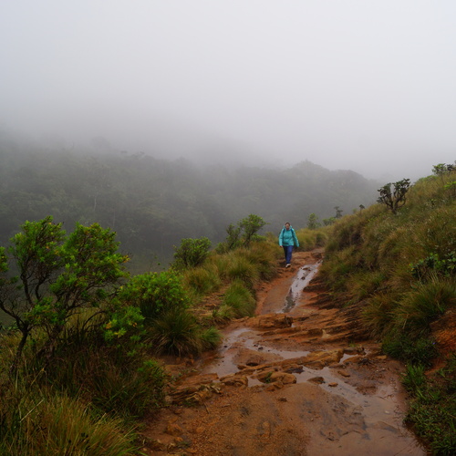 Photo #13810825