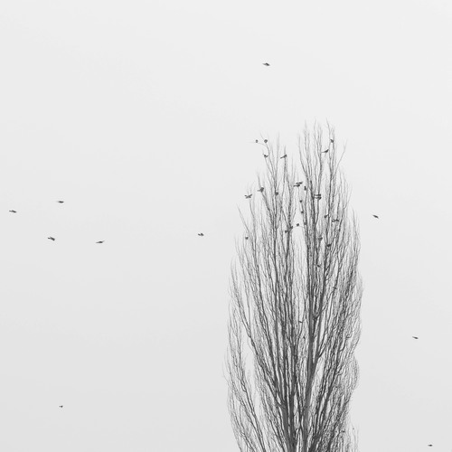 Photo #13810841