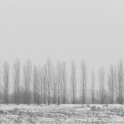 Photo #13810842