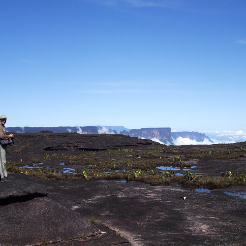 Photo #13810844
