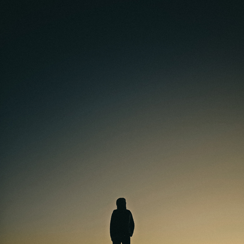 Photo #13810877