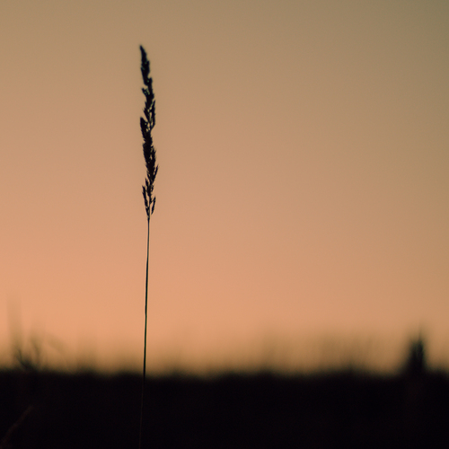 Photo #13810878