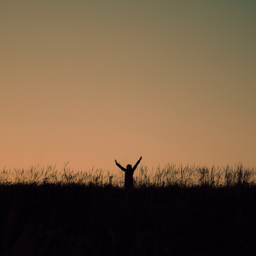 Photo #13810879