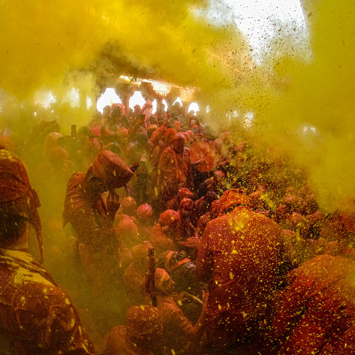 Photo #13810968