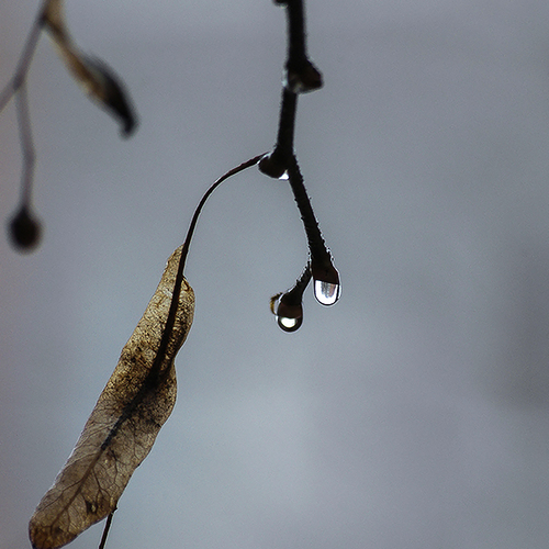 Photo #13810970