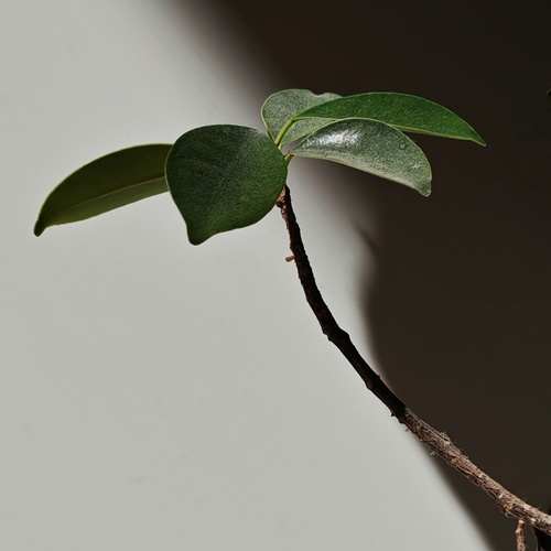 Photo #13811077