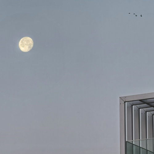 Photo #13811097