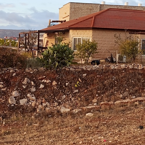 Photo #13811187