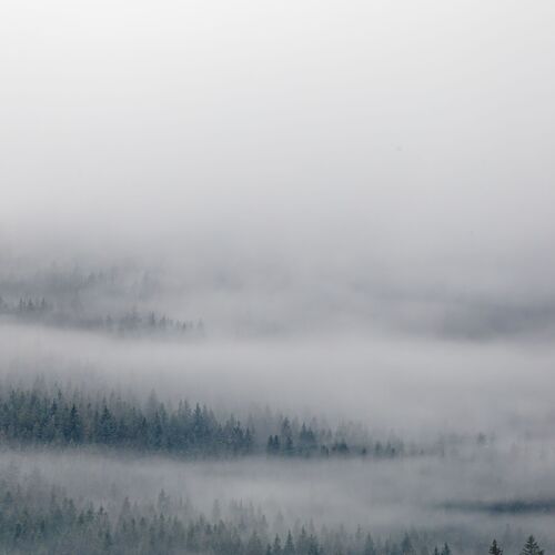 Photo #13811210