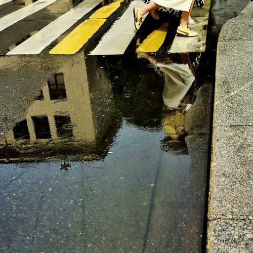 Photo #13811278