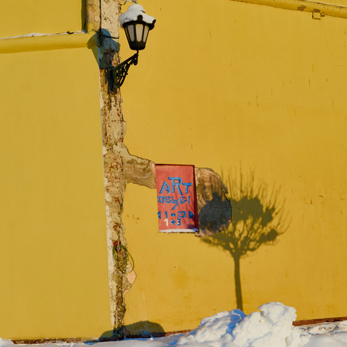 Photo #13811348